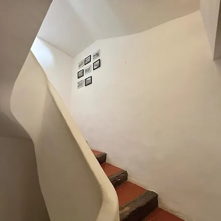 Sur Le Toit De דירה סן טרופז